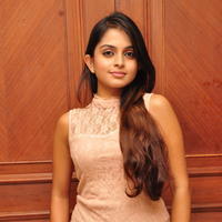 Sheena Shahabadi at Nuvve Naa Bangaram First Look Release Photos | Picture 599566